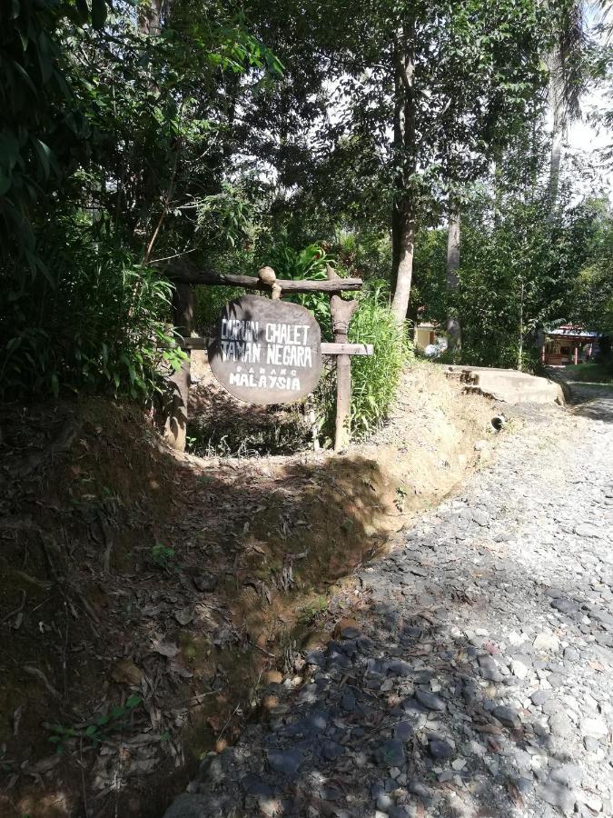 Durian Chalet Kuala Tahan Zewnętrze zdjęcie