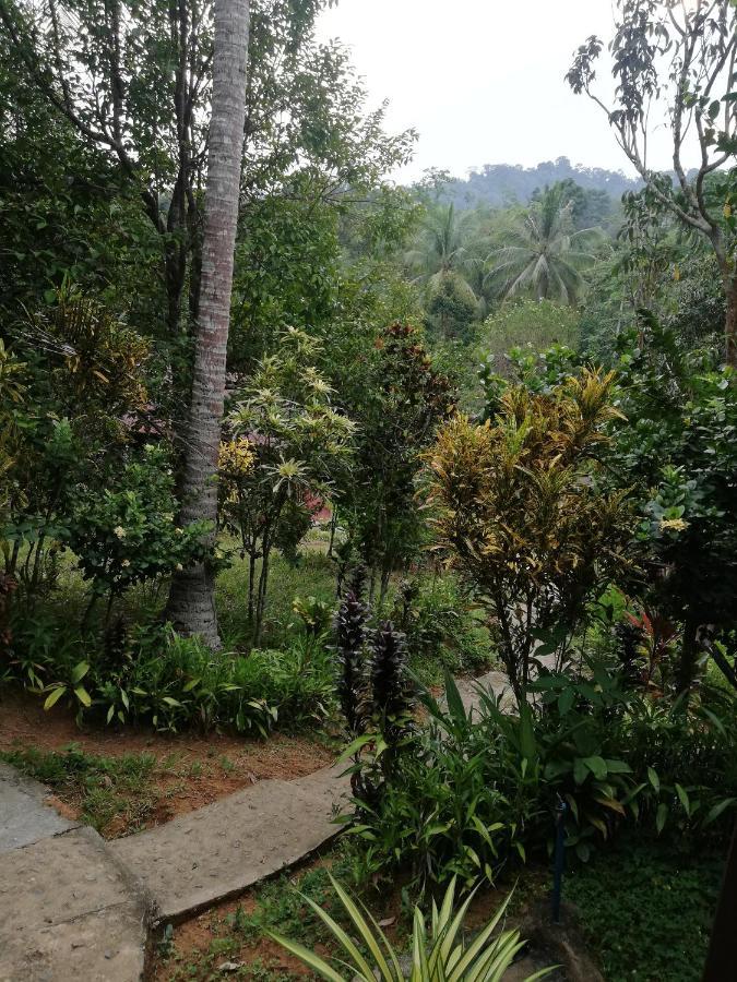 Durian Chalet Kuala Tahan Zewnętrze zdjęcie