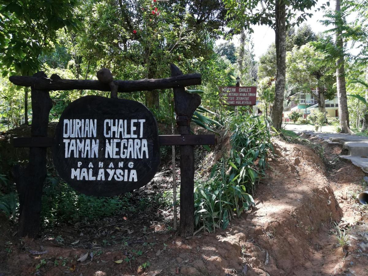 Durian Chalet Kuala Tahan Zewnętrze zdjęcie