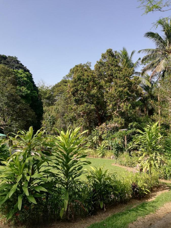 Durian Chalet Kuala Tahan Zewnętrze zdjęcie