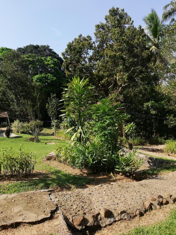 Durian Chalet Kuala Tahan Zewnętrze zdjęcie
