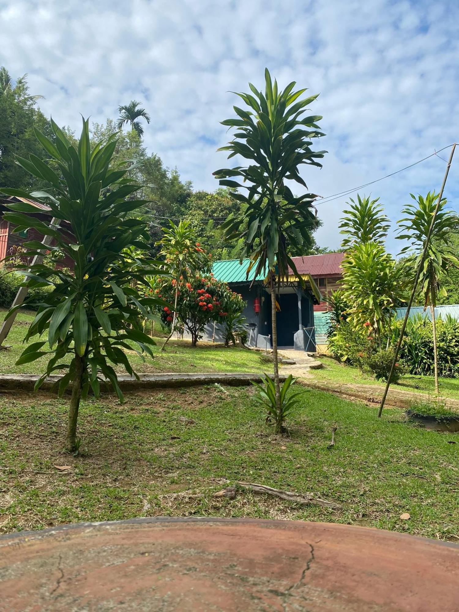 Durian Chalet Kuala Tahan Zewnętrze zdjęcie